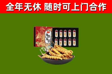 泸县回收冬虫夏草价格